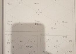 confused in carrer field