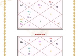 please tell about my financial life and professional life prediction